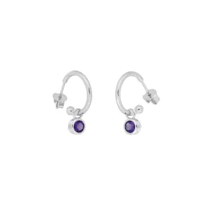 February Birthstone Hoop Earrings - Amethyst