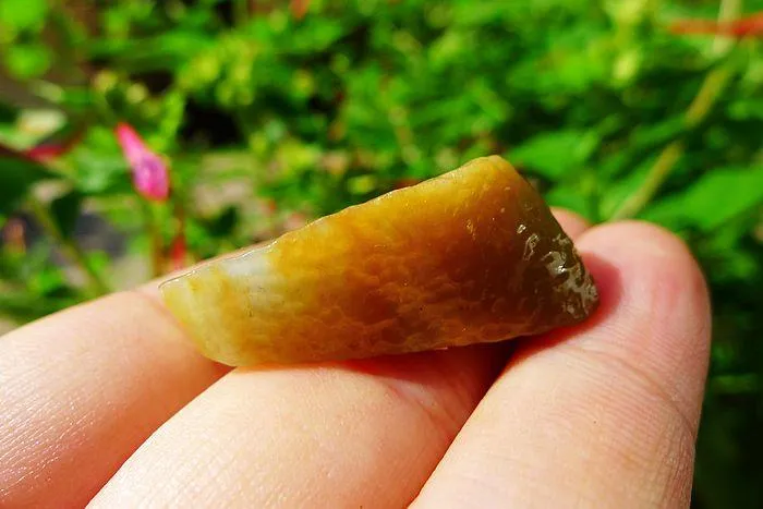 Natural Jade Rough Jadeite Raw (11.5g,3X2.1X1.1cm)