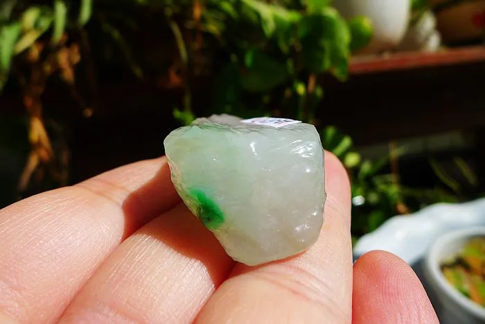 Natural Jade Rough Jadeite Raw (22g,4.1X2.2X1.3cm)