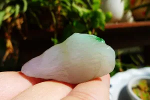 Natural Jade Rough Jadeite Raw (22g,4.1X2.2X1.3cm)