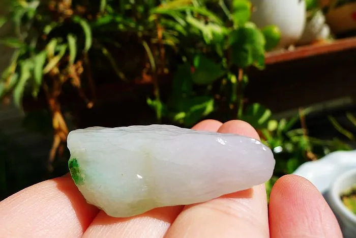 Natural Jade Rough Jadeite Raw (22g,4.1X2.2X1.3cm)